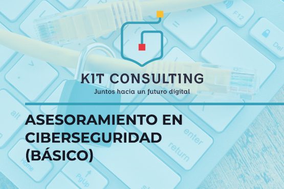 Servicio de Asesoramiento en Ciberseguridad (Básico)