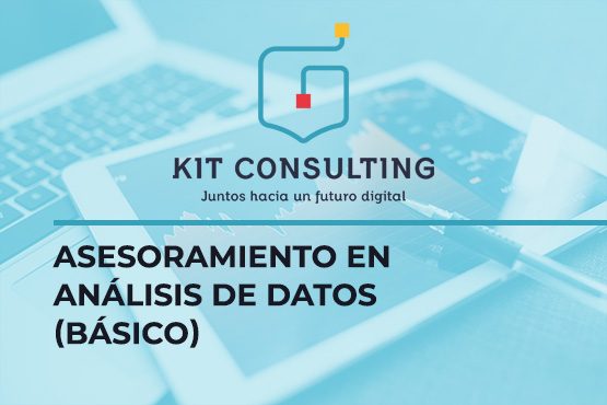 Servicio de Asesoramiento en Análisis de Datos (Básico)